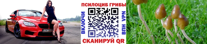 Галлюциногенные грибы MAGIC MUSHROOMS Пошехонье